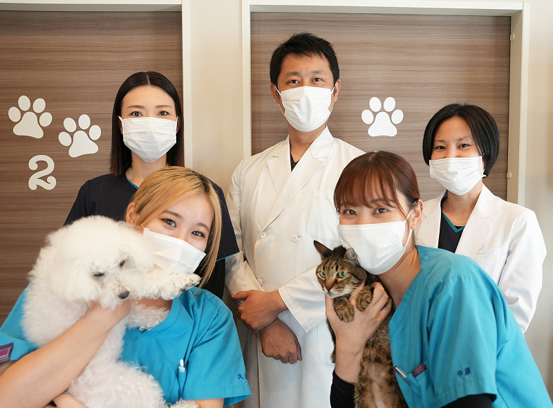 愛玩動物看護師